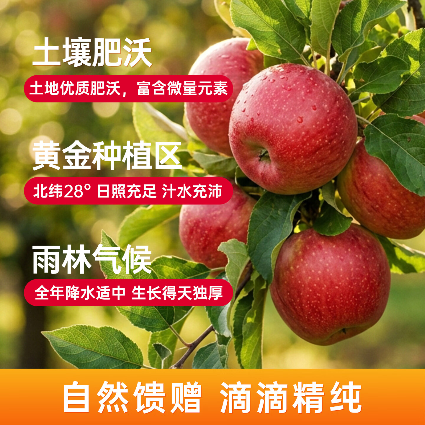 真果每刻苹果汁酸甜均衡0添加0脂肪健康饮品饮料配料干净 125ml*12盒*2箱