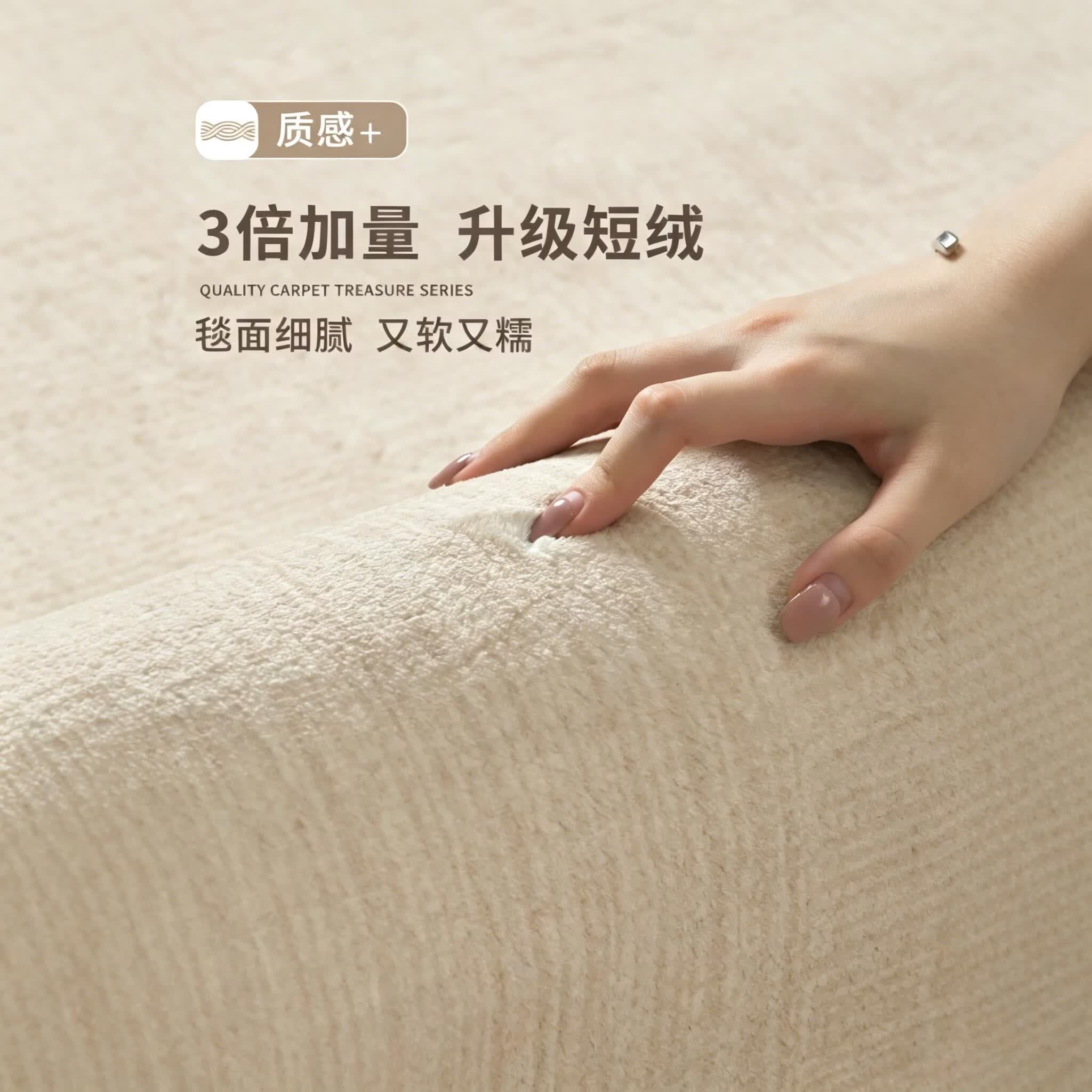 鸿荔达地毯客厅2026新款免洗可擦轻奢高级感现代简约免打理防水沙发地垫 S仿羊绒-玛丽雪 200×300Cm【热销推荐尺寸】