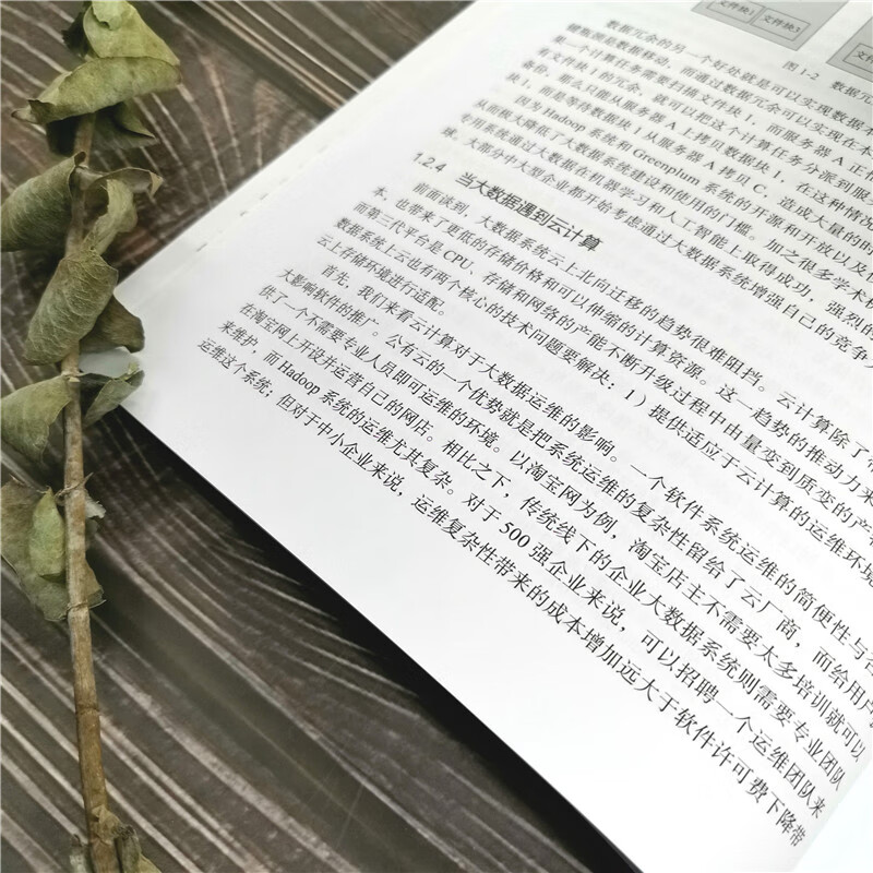 Greenplum：从大数据战略到实现详情图