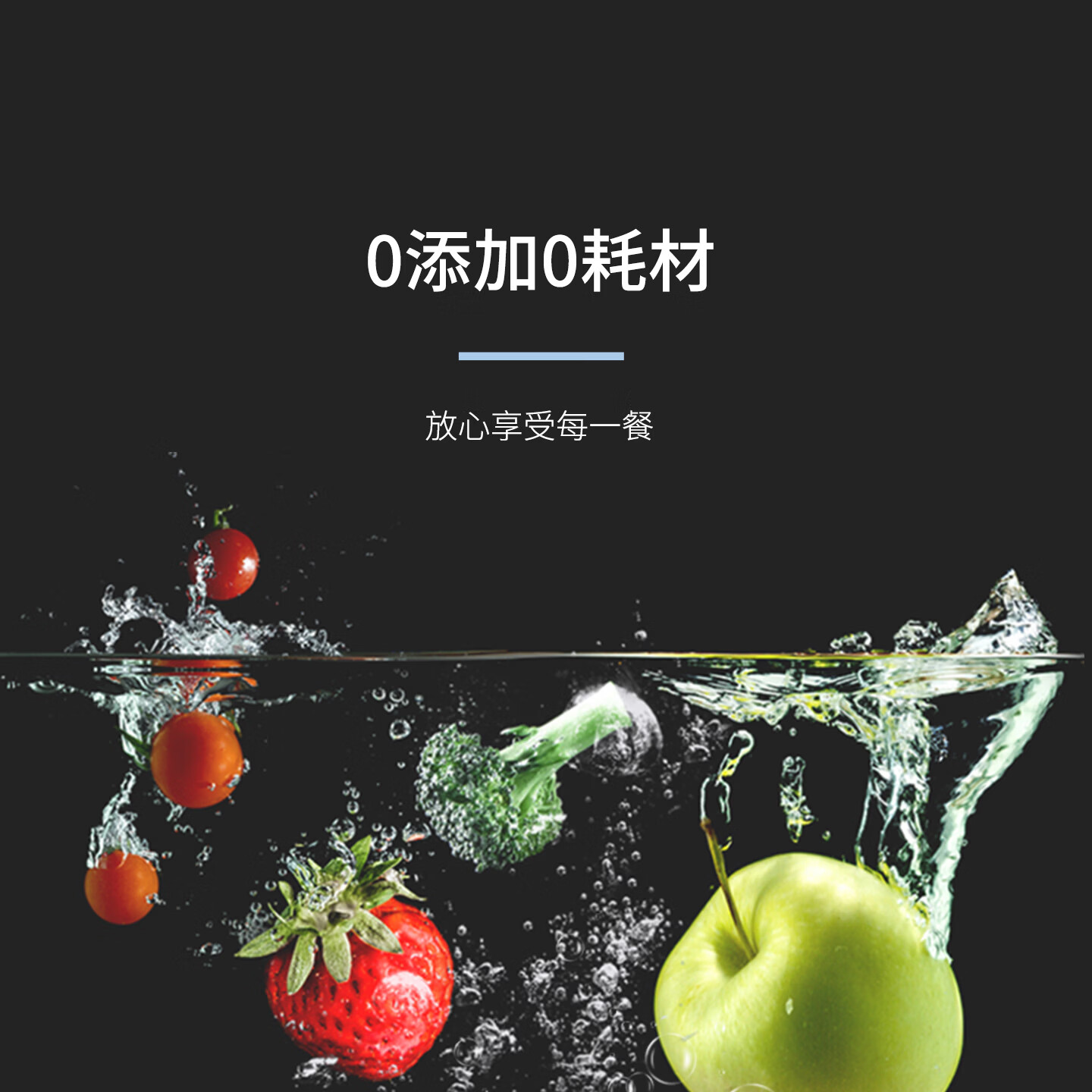 冰尊（BENSHION）蔬清洗机家用洗菜机去除细菌农药瘦肉精激素食材净化机果蔬解毒机净化器 BS-M3白色