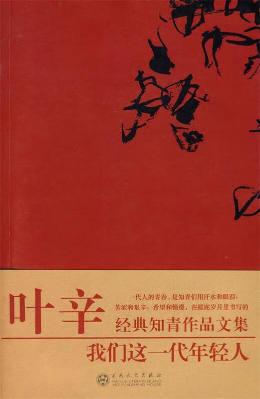 我们这一代年轻人【正版书籍,畅读优品】