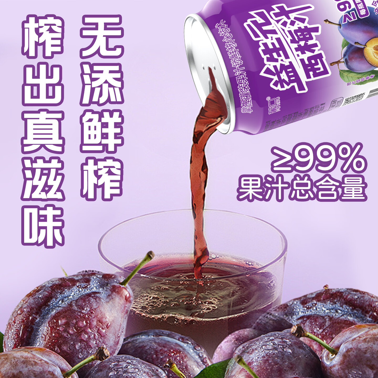 葡口（pukou）果肉饮料果汁0脂肪解腻饮料便携整箱 益生元西梅238ml*10罐 破损包赔