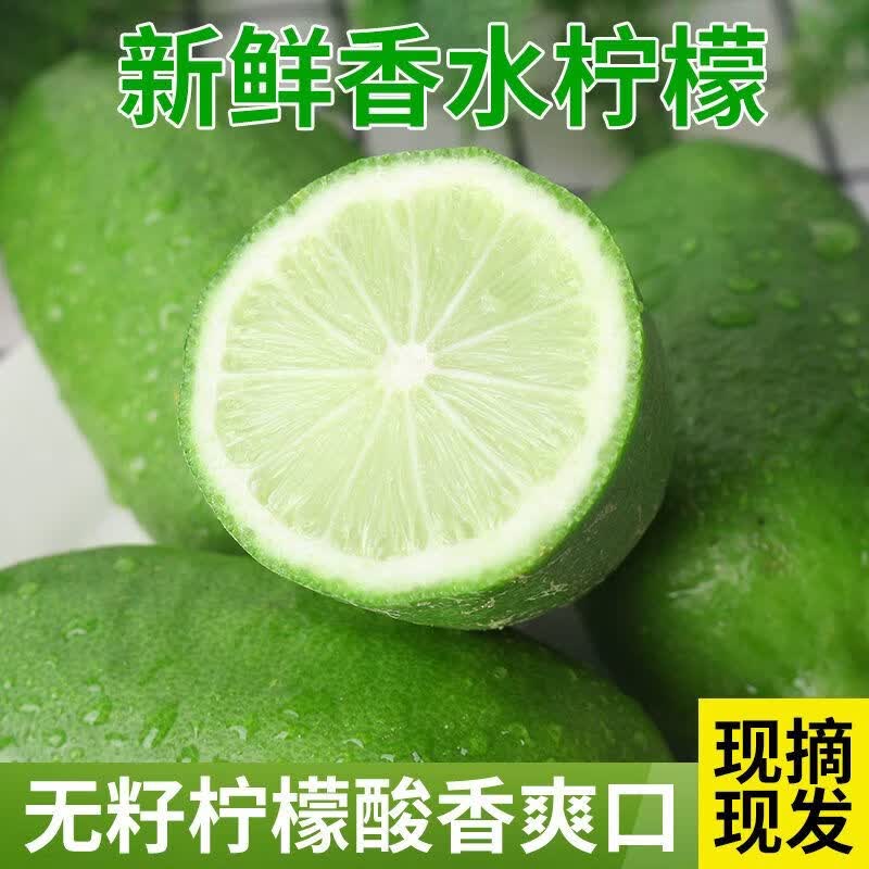【产地批发价】海南无籽香水青柠檬鲜果整箱当季水果奶茶店专用 海南无籽香水柠檬【独立包装】 超值小果【50-80克】约9-15个果【约1.5-2斤】