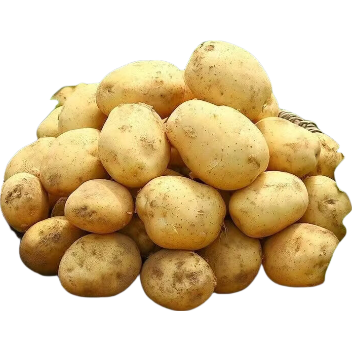 正宗黄心黄皮小土豆新鲜现挖洋芋农家蔬菜马铃薯当季新鲜蔬菜 正宗黄心黄皮小土豆 带箱1斤小果