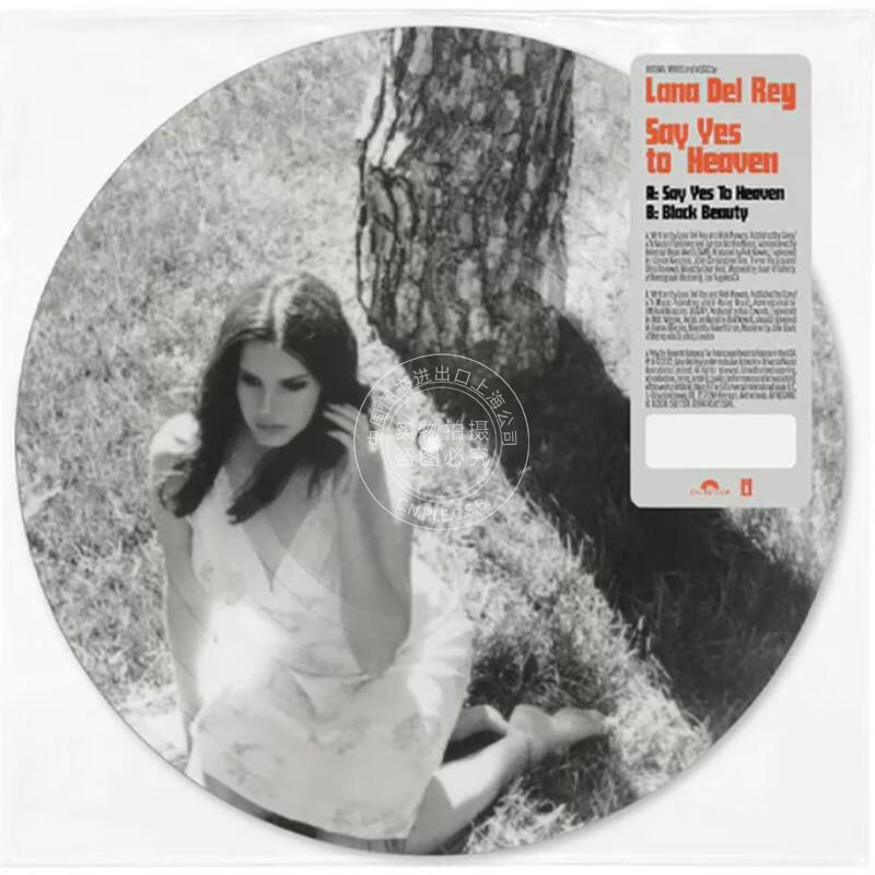 现货【中图音像】拉娜德雷 Lana Del Rey打雷姐 Say Yes to Heaven 7寸画胶 1LP