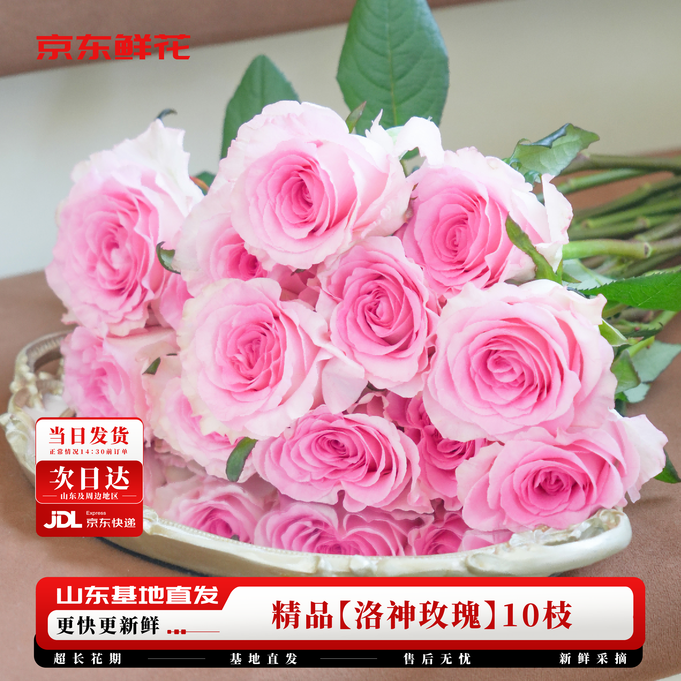 京东鲜花玫瑰花【洛神】10枝无土栽培枝长50-55cm礼品花山东基地源头直发