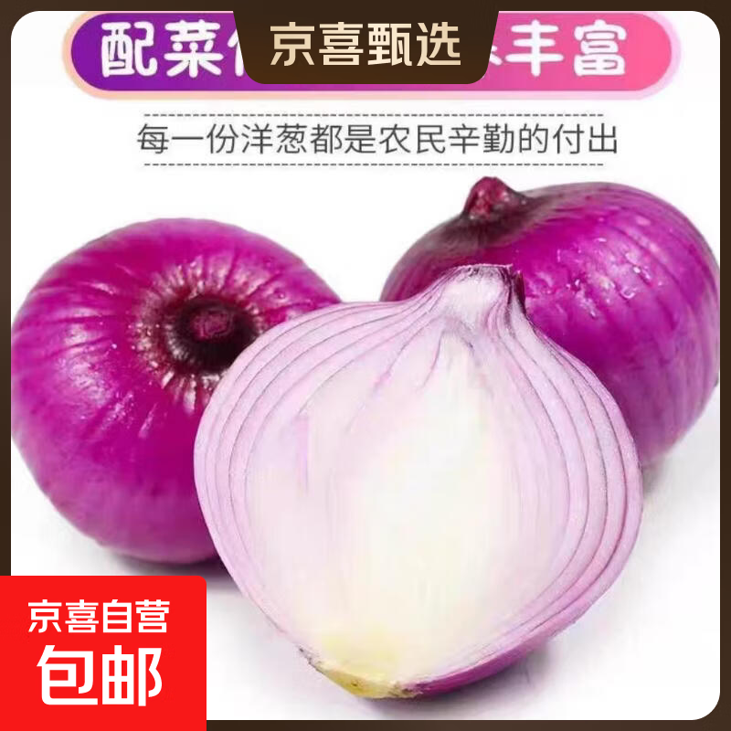 【祁珠】甘肃新鲜紫皮洋葱脆甜爽口农家自种黄洋葱圆葱扁洋葱 【祁珠】精品洋葱迷你小果1斤