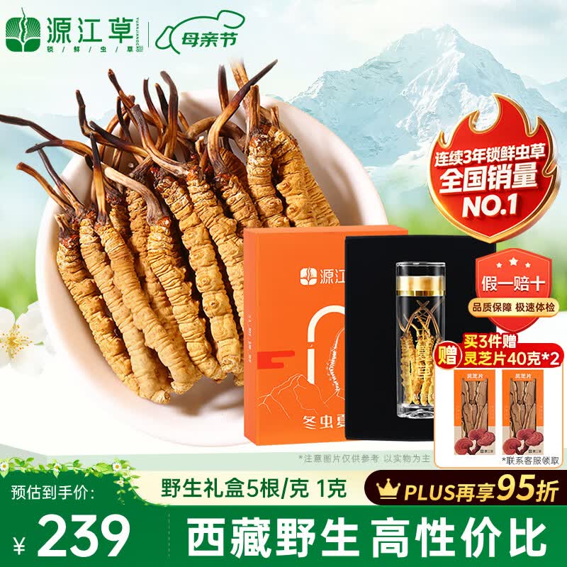 源江草冬虫夏草野生那曲虫草 5根/克 1克 西藏高海拔礼盒滋补品