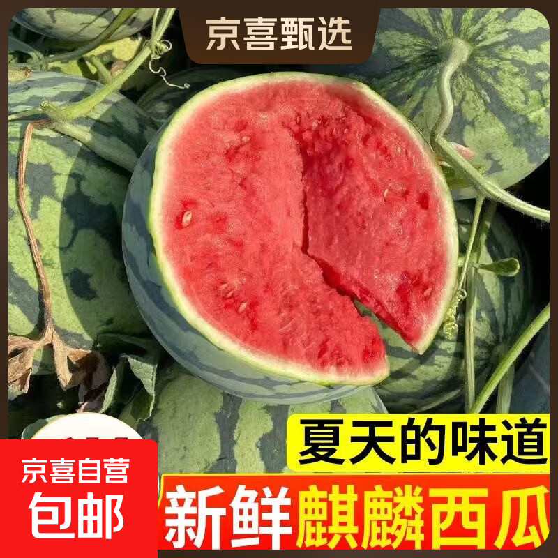 一级果正宗无籽美都麒麟西瓜 安徽砀山精品爆汁8424 仅9.9元