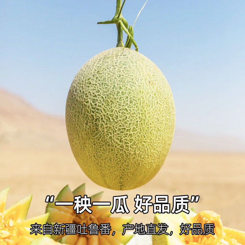 【新疆直发】正宗新疆哈密瓜西州蜜25号网纹瓜老汉甜瓜整箱吐鲁番 8-9斤2-3枚【西州蜜25号】 新疆直发【顺丰快递】】