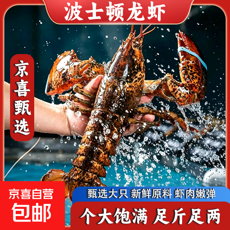 波士顿龙虾 活冻大波龙  澳洲龙虾海鲜水产 冷鲜生鲜虾类 活冻波士顿龙虾 芥末+酱油 3包