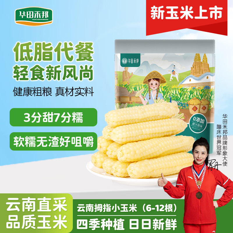 华田禾邦【新玉米】云南拇指玉米1斤(6-12根)儿童甜糯小玉米西双版纳 早餐
