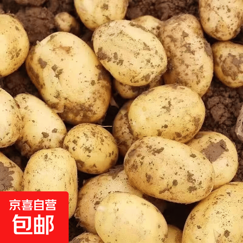 土豆1斤 0.9元 - 86线报