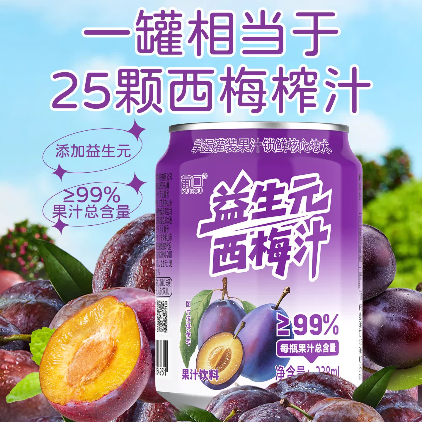 葡口（pukou）果肉饮料果汁0脂肪解腻饮料便携整箱 益生元西梅238ml*10罐 破损包赔