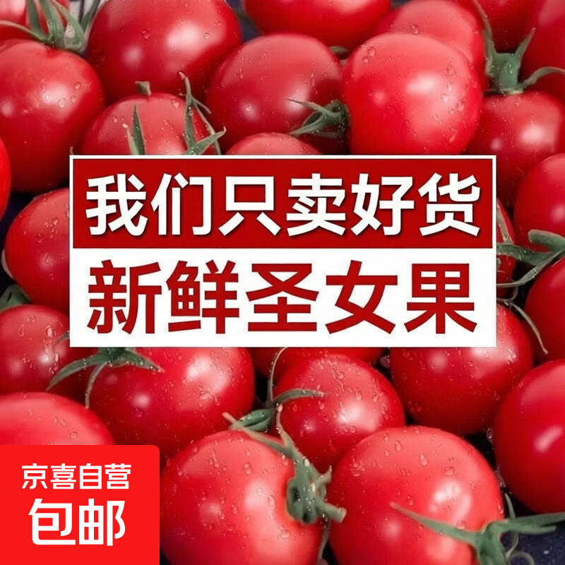 【减脂0负担】正宗圣女果新鲜樱桃番茄果蔬柿子酸甜小西红柿水果 山东圣女果5斤单果8g 4.6斤 净重
