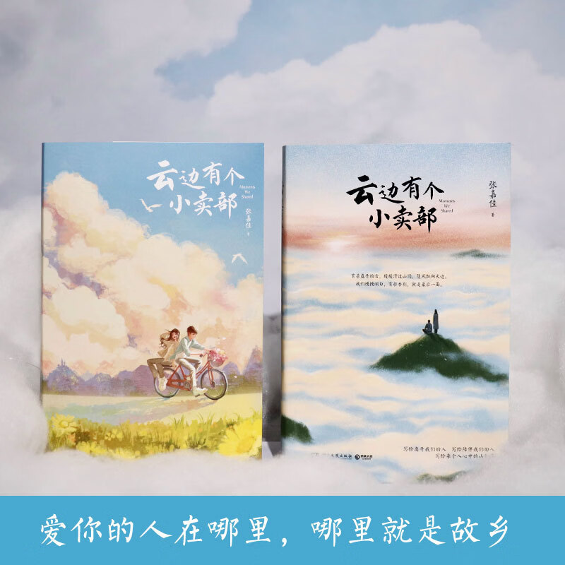 【当当专属礼盒版 现货】我是你的遗物 张嘉佳新书2026全新小说 升维突破之作 强伏笔深治愈 如果永远无法相见 那么一字一句都是遗言 云边有个小卖部新版