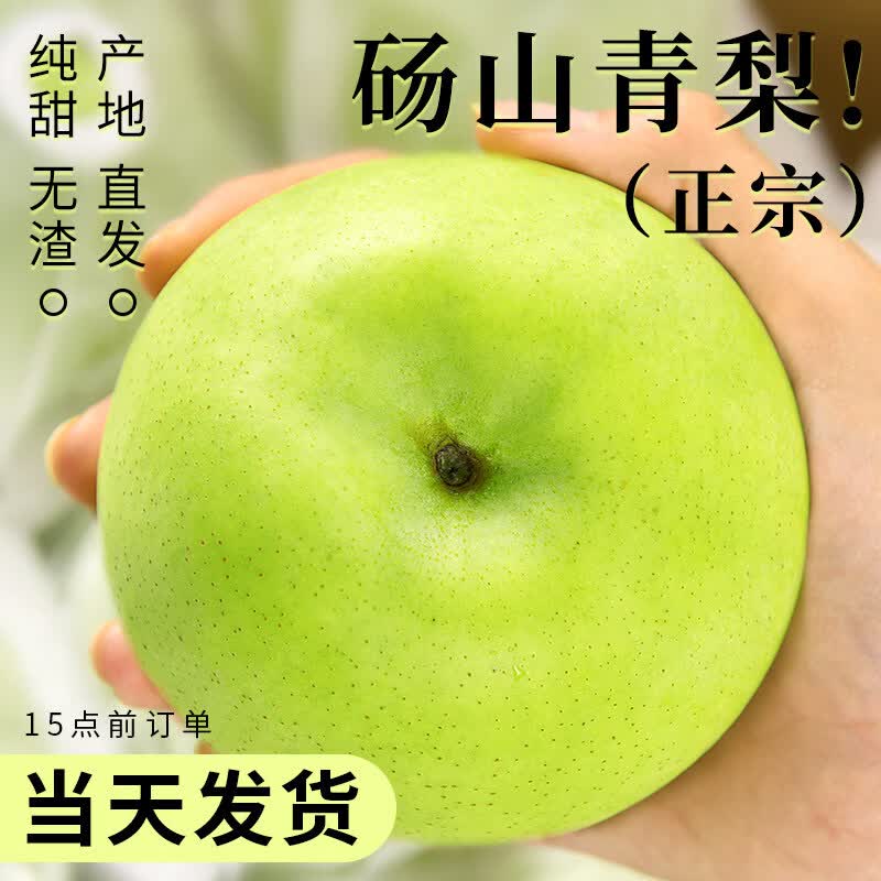 正鲜季（ZHENGXIANJI）梨子正宗砀山梨青梨酥梨新鲜现摘当季水果整箱批发雪梨香梨翠冠梨 稀缺果王 | 单果350g+ 【实惠装】5斤