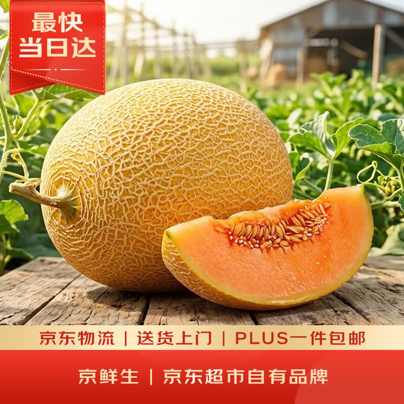 京鲜生 黄金哈密瓜 1粒装 单果3斤起  生鲜水果  