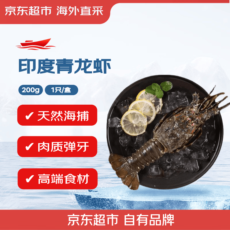 京东超市海外直采冷冻青龙虾/小青龙 200-300g/只 高端海鲜 源头直发 包邮