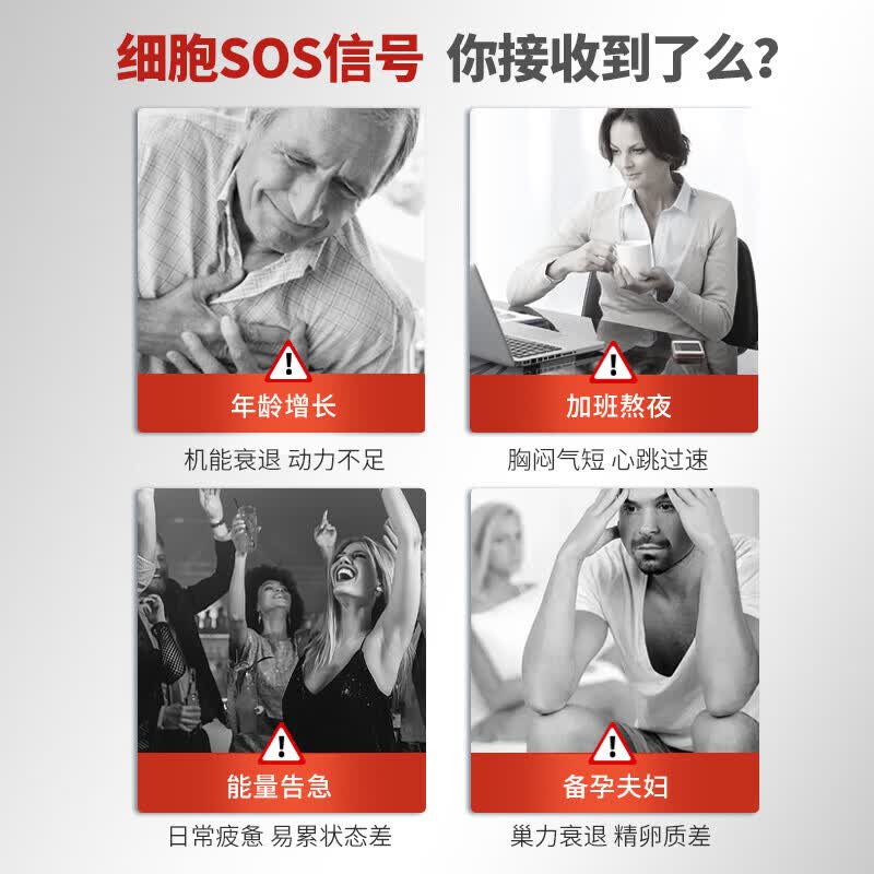 PNZ高纯EPA红琥珀深海鱼油胶囊60粒*1盒+PNZ水乳双溶还原型辅酶*1盒心脑火力套组保健品