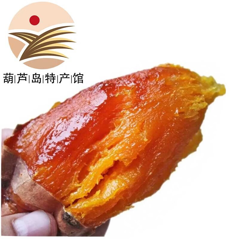 辽唯赞辽西文君甘薯 地瓜烟薯5斤 番薯密薯红薯稀瓤沙地辽西 葫芦岛