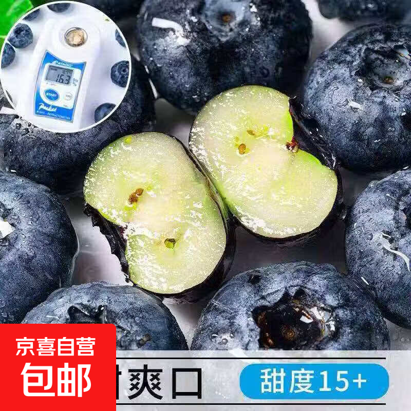 云南原产地高山蓝莓 高花青素护眼 孕妇专属新鲜水果 70g-90g八盒装（15mm）