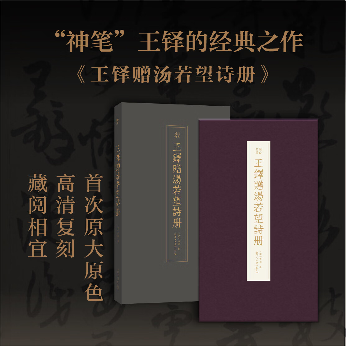 【正版】王铎赠汤若望诗册/湖山阅微王铎书法行书书法学习者书法研究者明清史爱好者函套精装收藏神笔王铎经典之作首次原大原色高清复刻艺术巅峰行书典范一次东西方对话凝成不朽的书法经典 默认规格