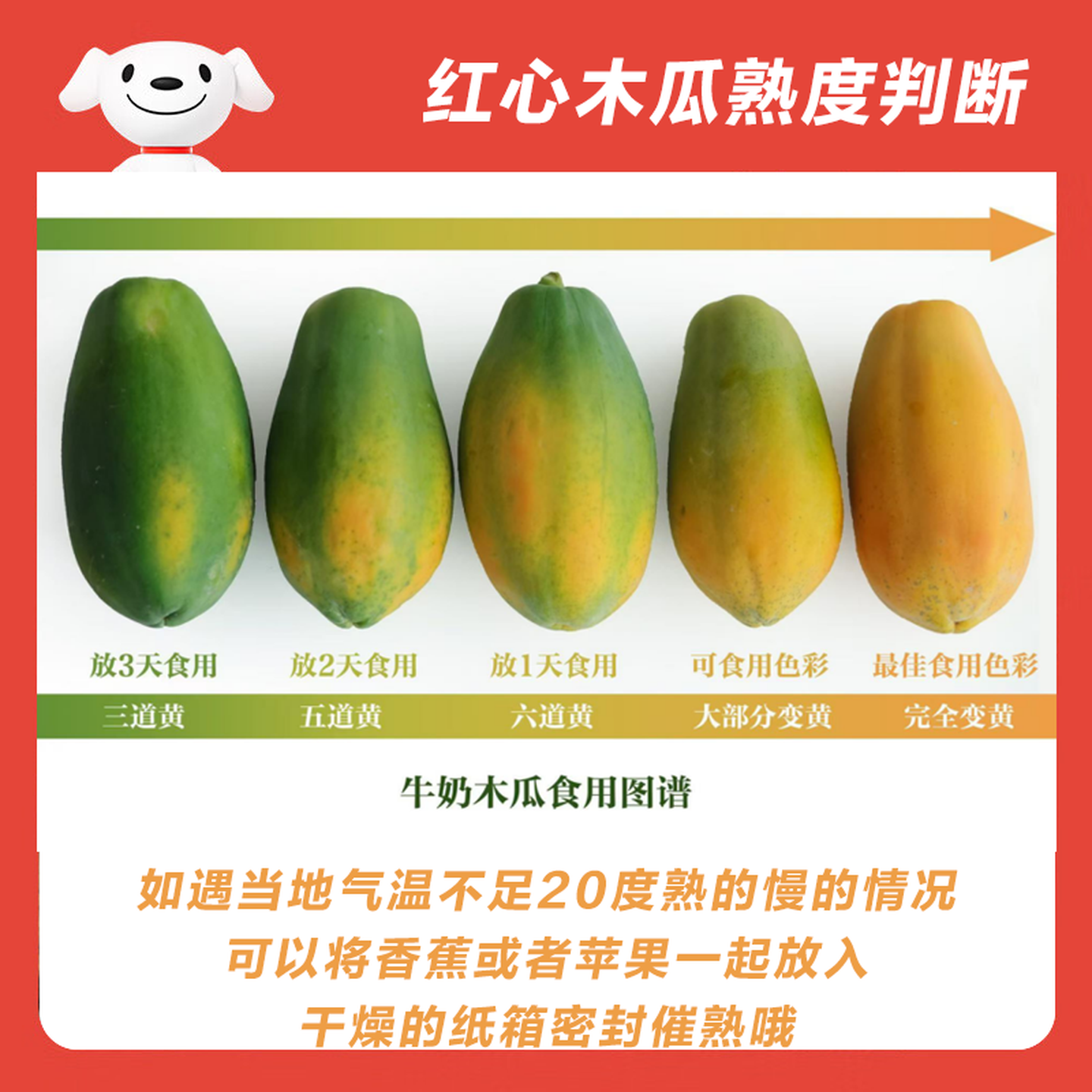 正鲜季（ZHENGXIANJI）红心木瓜树上熟牛奶木瓜新鲜现摘当季水果整箱批发青皮木瓜水果 5斤 | 实惠装