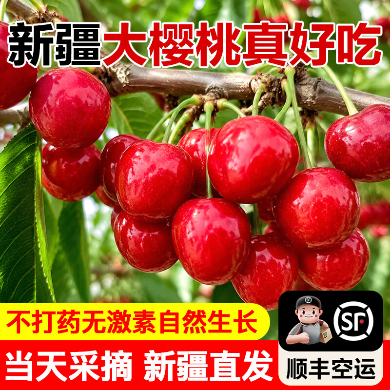 新疆喀什大樱桃新鲜采摘应季水果红灯酸甜国产车厘子包邮 2斤(净重) 新疆直发 顺丰空运 单果 28-34mm 超大果