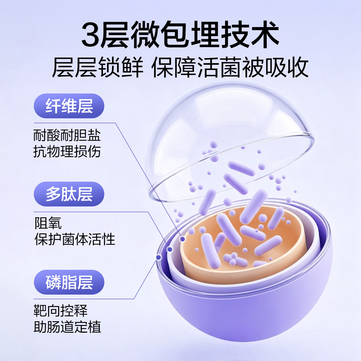 WEBIO【1000亿活菌 肠道菌态平衡】微蓓儿三生元即食型益生菌粉2g*28袋