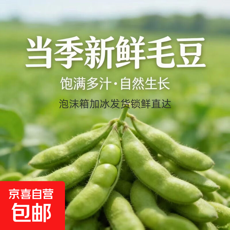 新鲜现摘毛豆农家自种毛豆荚带壳豆大青豆嫩毛豆炒菜下酒烧烤必备 3斤 净重