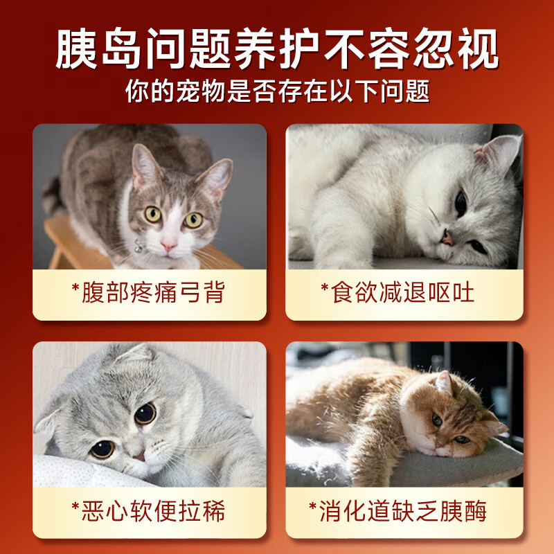 兽护神宠物胰宝片猫咪狗狗胰腺调理补胰酶促消化增免疫猫狗通用1瓶200片 【胰酶补充】胰宝片 200片*1瓶
