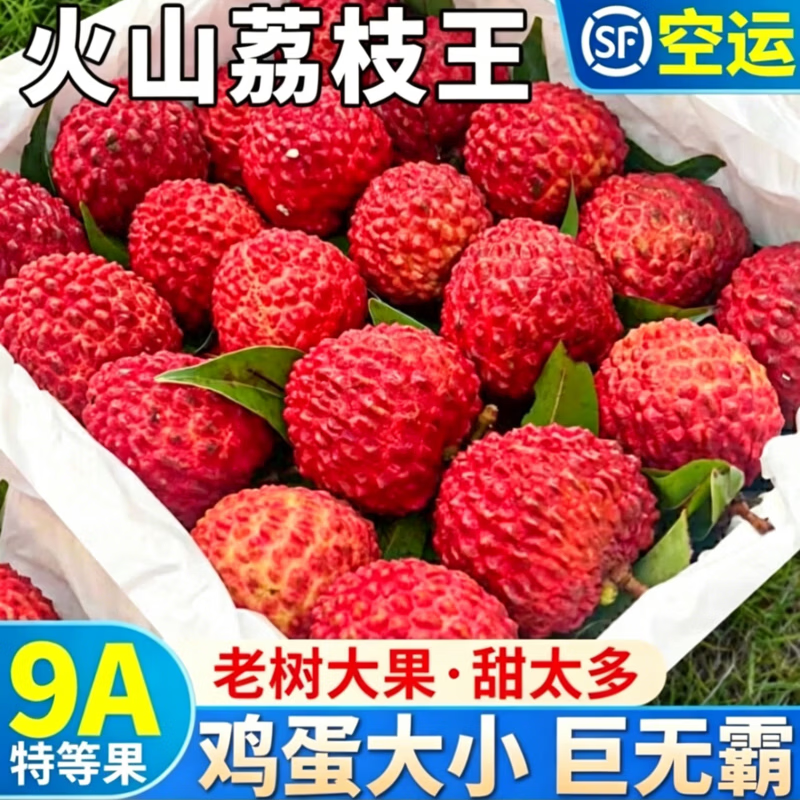 壹萌果蔬海南荔枝王巨无霸【JD顺丰空运次日达】新鲜火山荔枝水果礼盒送礼 3斤装【店长力荐-80%人选】净2.5斤 【大如鸡蛋】特大果【10-12个/斤】