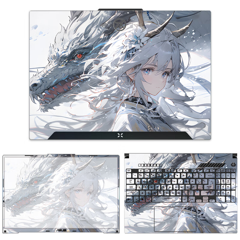 酷力驰 华硕天选6/6Pro贴纸天选4/5Pro保护膜2/3/4plus/锐龙AI版Air机身外壳贴膜 款式16 ABC面