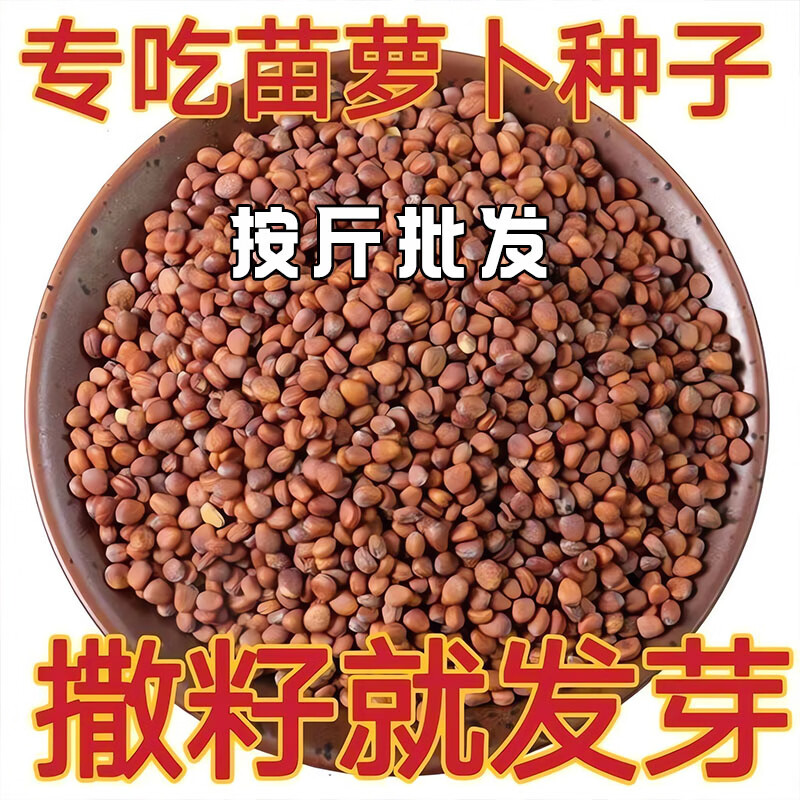 萝卜苗种子四季萝卜菜种籽萝卜樱青菜籽阳台盆栽农家庭院春季蔬菜 四季萝卜苗种子500克【可水培】