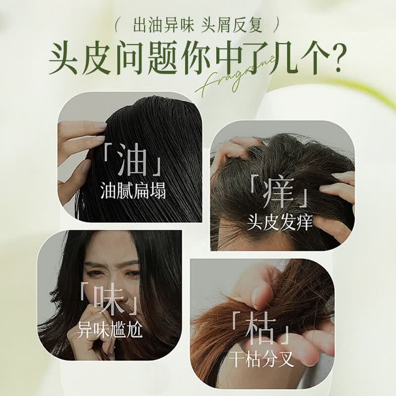 CINBI玉龙茶香蓬松洗发水专用改善枯燥柔顺香氛持久留香男女洗头膏露 玉龙茶香洗发水800ml×1瓶