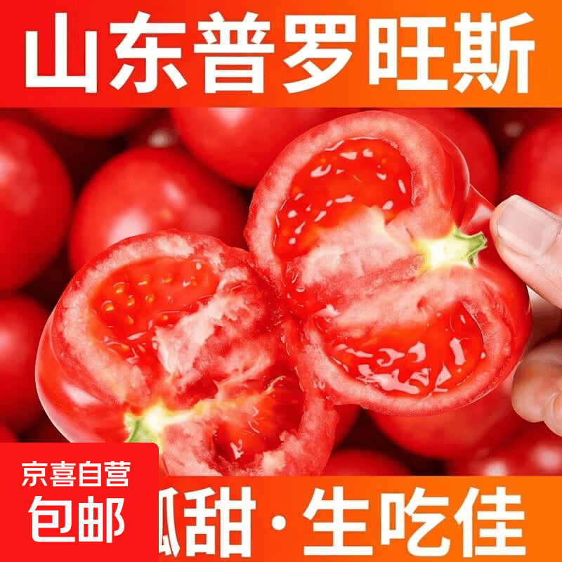 山东普罗旺斯生吃西红柿自然成熟沙瓤大番茄京东快递单果100g+ （带箱5斤） 4.5斤 净重
