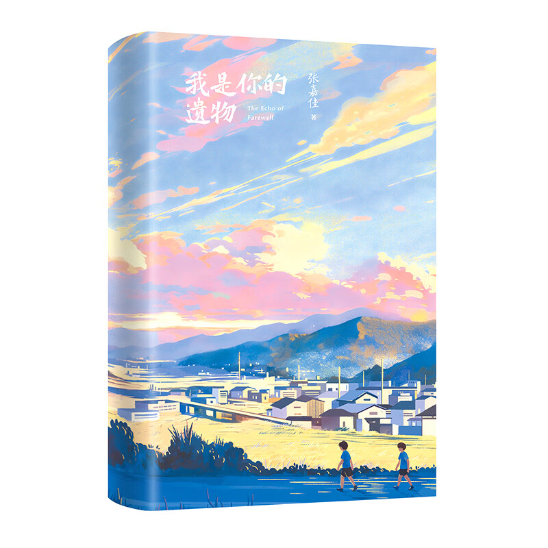 我是你的遗物 张嘉佳2026全新小说