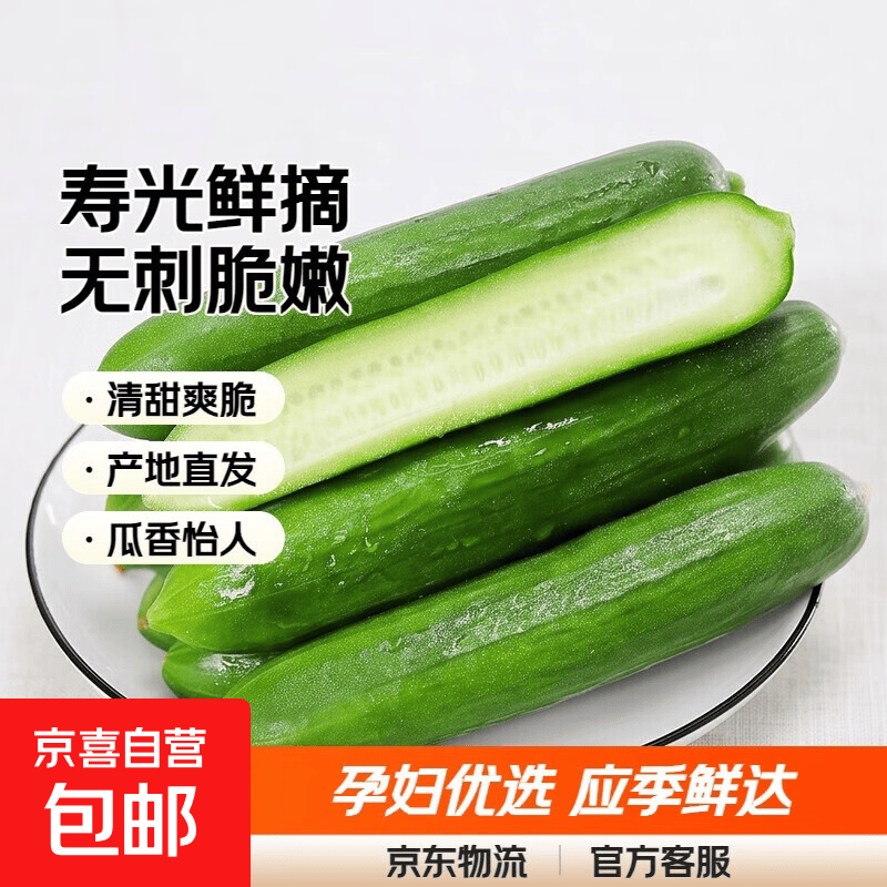 京喜加寿光水果黄瓜小黄瓜山东水果黄瓜应季水果孕妇水果无刺小黄瓜 寿光小黄瓜带箱2斤装