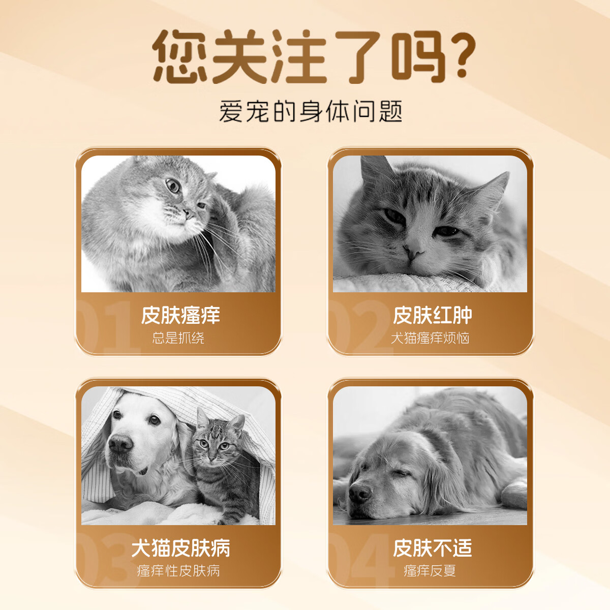 术问芷痒密码宠物猫狗抗过敏止痒驱痒大师皮肤养护片宠物过敏真菌细菌 芷痒密码1瓶*1瓶维生素片1瓶