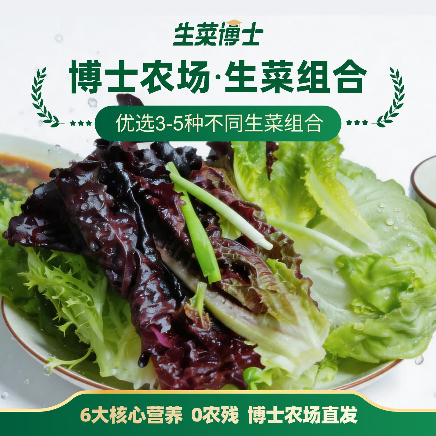 生菜博士 生菜组合(3-5种生菜) 富含维E 花青素 GABA氨基丁酸 现采现发 2斤