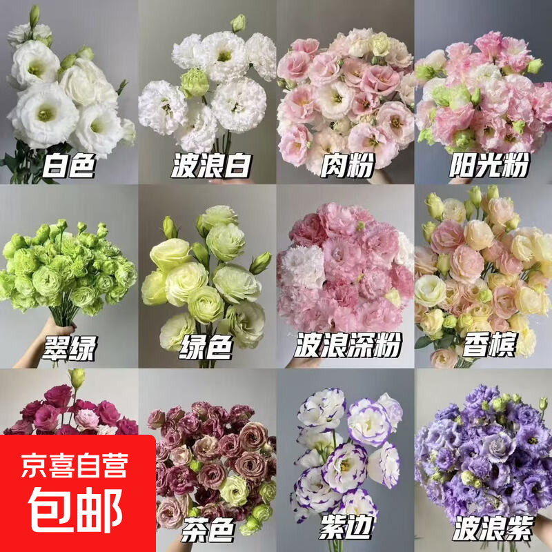 云南鲜花随机搭配洋桔梗20-25花苞 20.99元，云南玫瑰花40-50cm爱莎10支 21.99元 - 线报酷