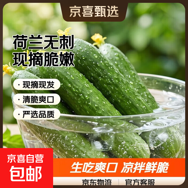 【东东买菜】山东水果黄瓜生吃荷兰无刺现摘脆嫩小青瓜当季蔬菜 带箱3斤 2.90斤