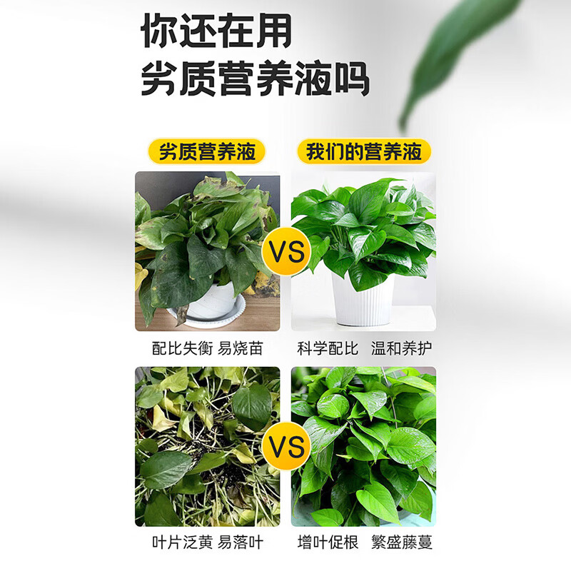植新家庭园艺有机小分子营养液通用型蔬菜果树植物花肥料盆栽家用养花 【通用型】小分子有机营养液*1瓶