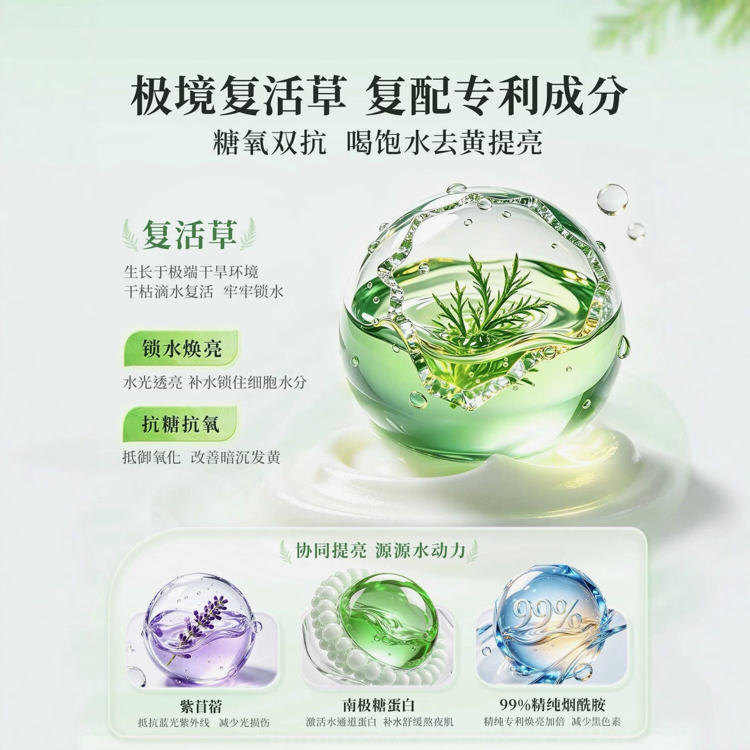 BUV复活草涂抹面膜补水保湿面膜淡化黑眼圈美白祛斑睡眠泥膜护肤品女 2盒【温和美白】