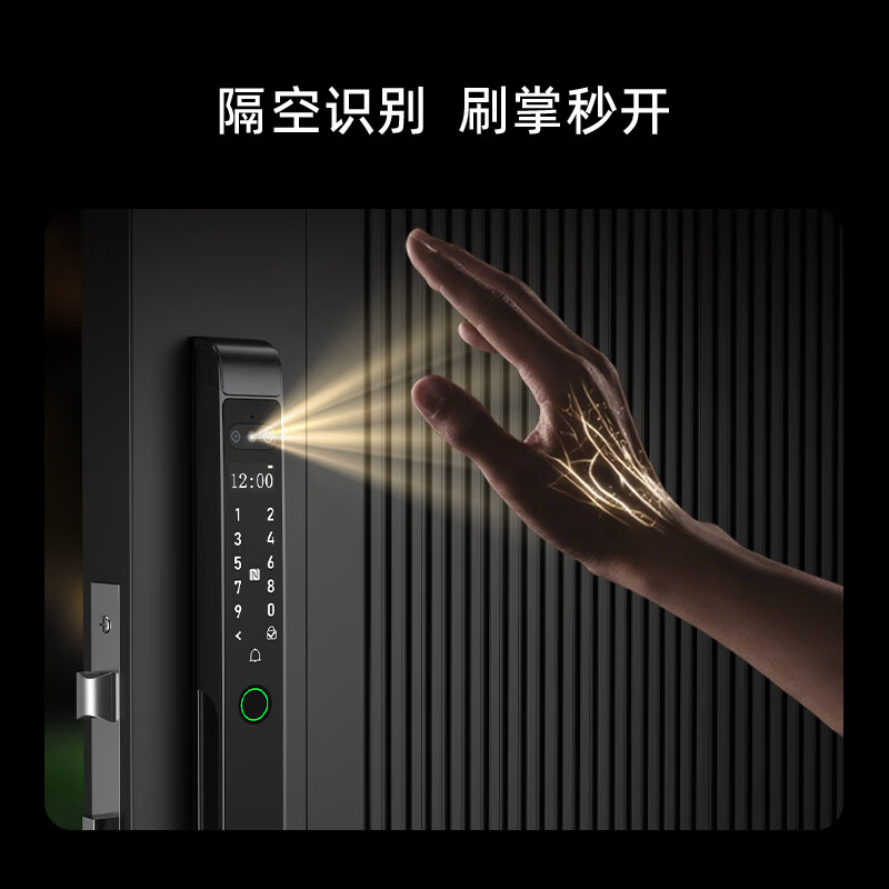 锁先森D20S双面验证双面人脸识别全自动断桥铝智能锁APP远程开锁包安装 曜石黑 涂鸦WiFi猫眼版