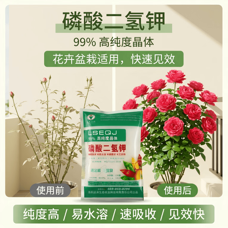 启禾科技磷酸二氢钾99%高纯度正品叶面肥水溶肥花卉瓜果蔬菜盆栽绿植通用 磷酸二氢钾98%高纯度400g*2 高纯度磷酸二氢钾正品保障
