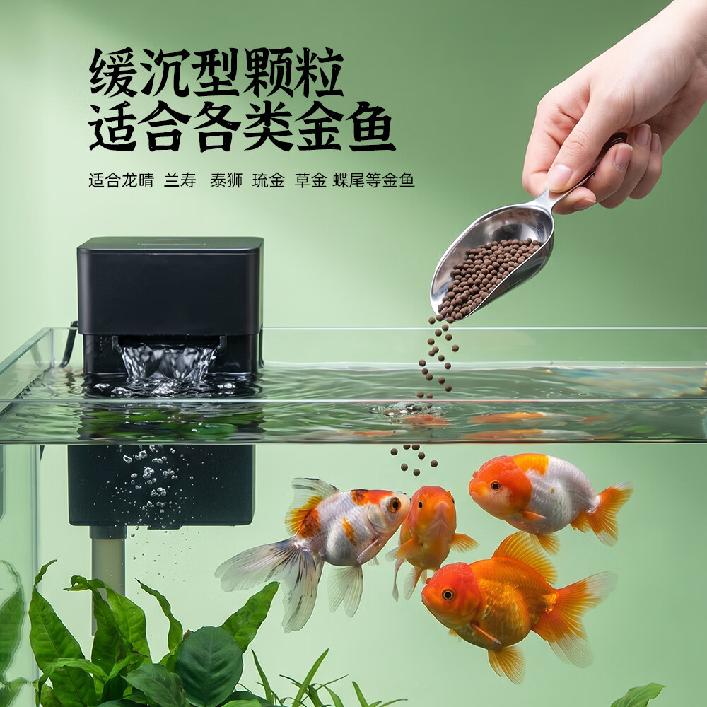 金鱼专用鱼粮高蛋白龙晴兰寿泰狮琉金草金蝶尾饲料发色下沉鱼食 36%蛋白-色扬中颗粒(≈2.7mm)1kg*1袋