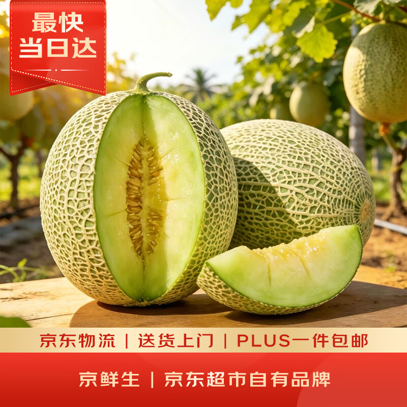京鲜生 冰淇淋网纹蜜瓜 1粒装 单果2斤起 生鲜水果 
