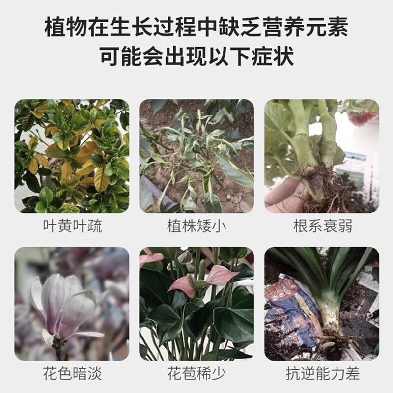 植新家庭园艺有机小分子营养液通用型蔬菜果树植物花肥料盆栽家用养花 【通用型】小分子有机营养液*1瓶